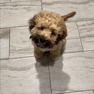 Meet your Posher, Cassandra